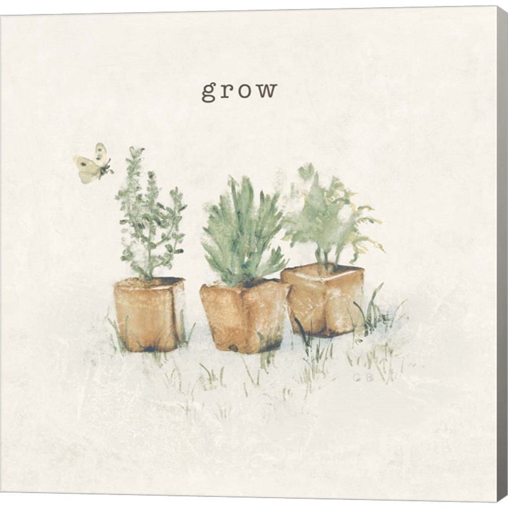 Garden Plants by Cheri Blum 12&#x22; x 12&#x22; Canvas Wall Art
