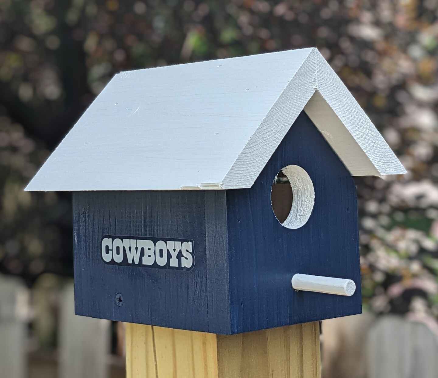 Birdhouse - 2024 Dallas Mavericks by ABCbirdhouses