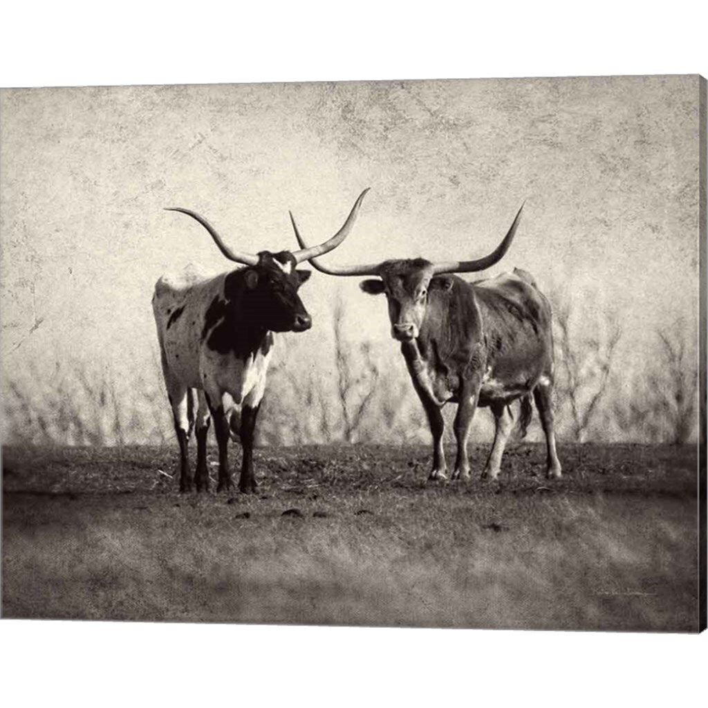 Texas Longhorns by Debra Van Swearingen 20" x 16" Canvas Wall Art
