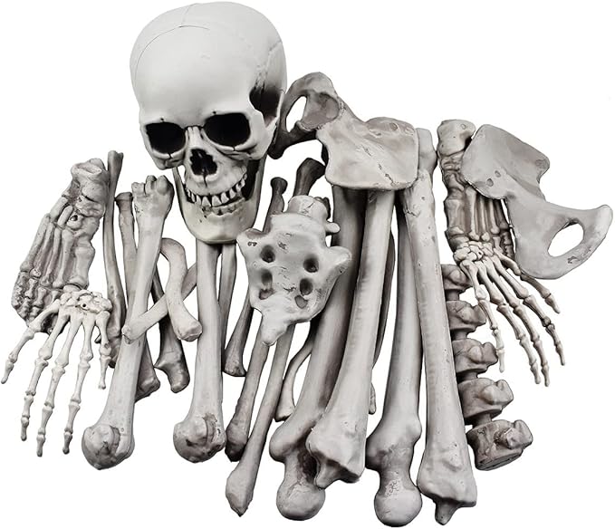Pieces Skeleton Bones and Skull for Halloween Decor or Spooky Graveyard Ground Decoration (28PCS)