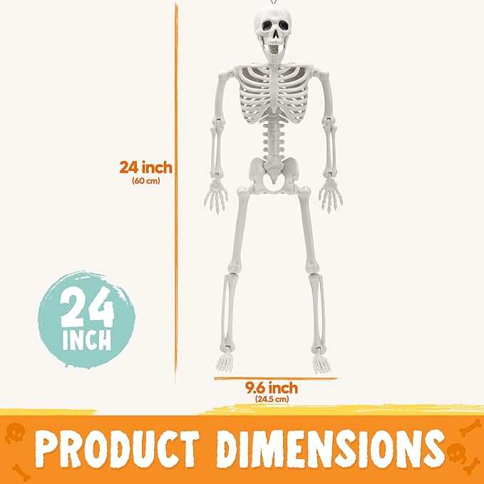 2 PCS 24&#x22; Halloween Posable Skeletons Hanging Full Body Posable Plastic Skeletons with Movable Joints for Halloween Party, Graveyard Spooky Indoor and Outdoor Decorations(White)