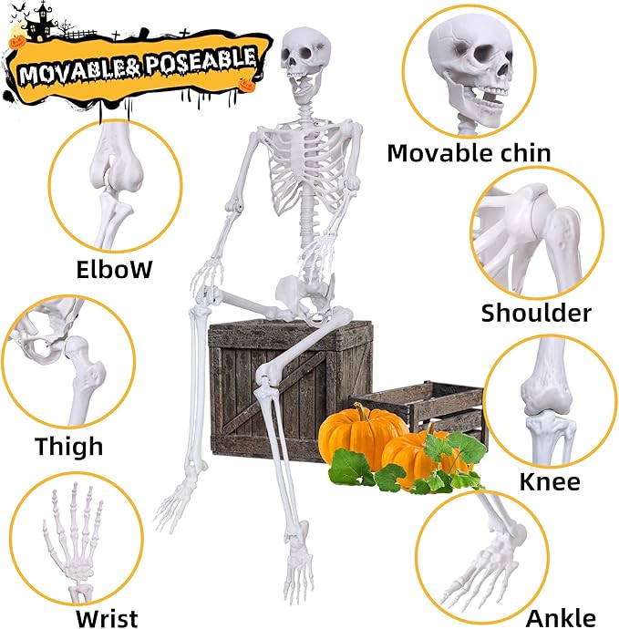 5.9Ft Halloween Skeleton Posable Skeleton Life Size Skeleton Plastic Full Body Human Skeleton for Halloween Decorations