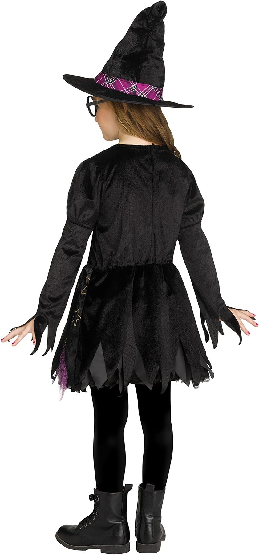 Fun World Childrens School Girl Witch Toddler Costume