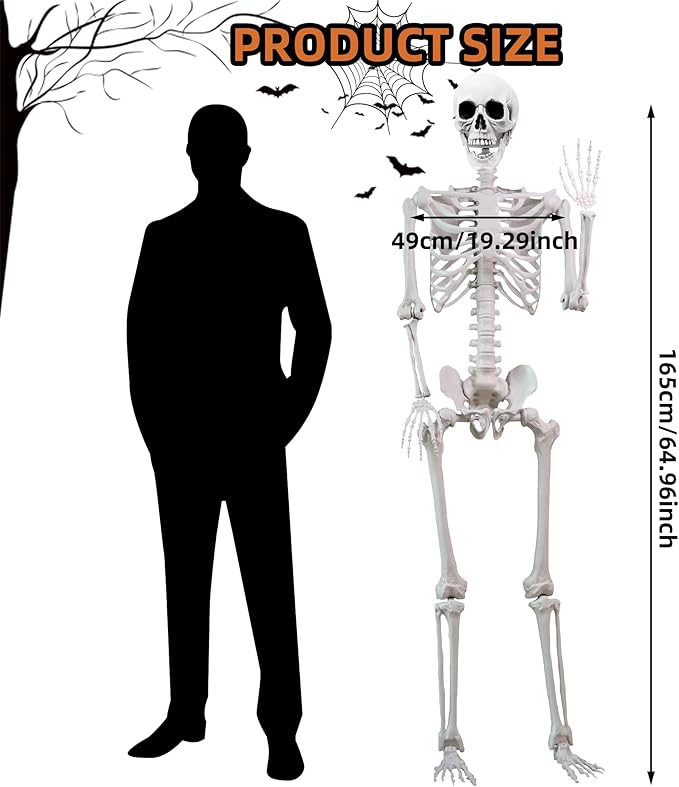 5.4 ft Halloween Skeleton Poseable Skeleton Life Size Skeleton Full Body Plastic Human Bones Standing Human Skeleton with Posable Joints for Halloween Decoration