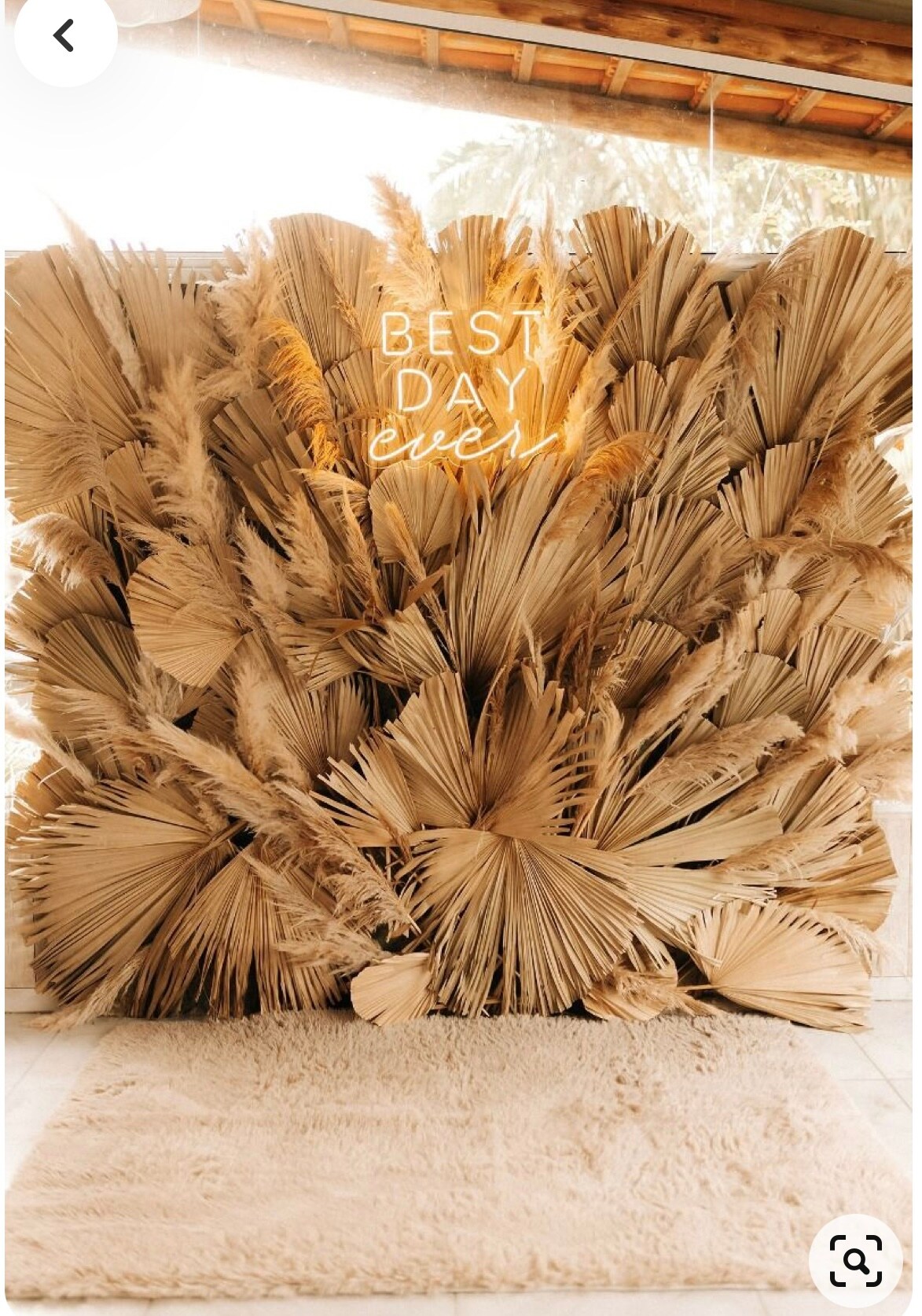 3ft. JUMBO Sun-Dried Wild Untouched Palm Leaf Wispy Frond