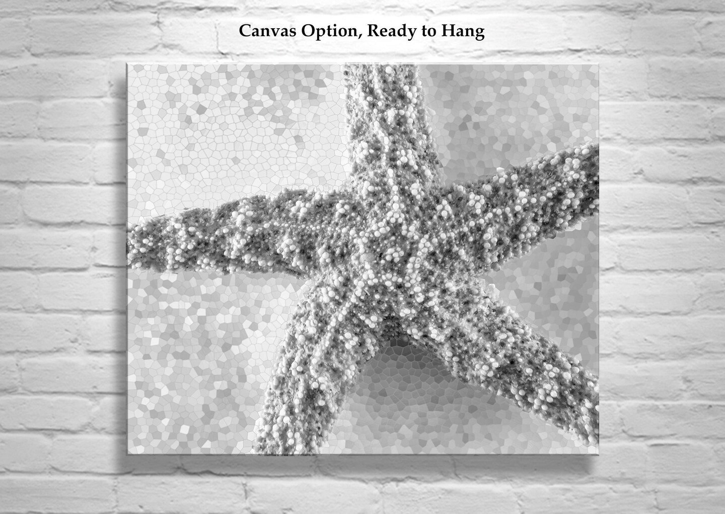 Black and White Photograph of Starfish as Bath Decor Ocean Inspired Art Print product 3
