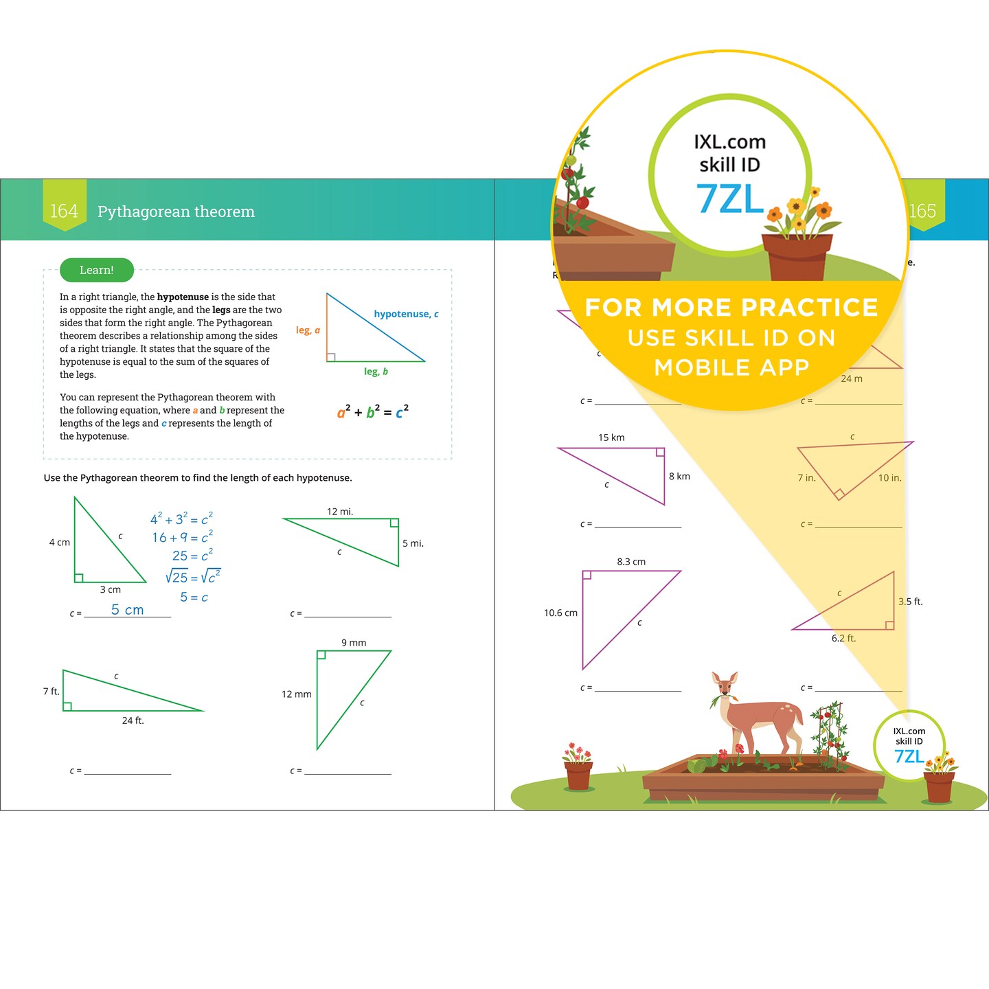 IXL The Ultimate Eighth Grade Math Workbook, Middle School Books for Kids Ages 13-14 Covering Geometry, Algebra, Mathematics Equations, Pythagorean Theorem, and More