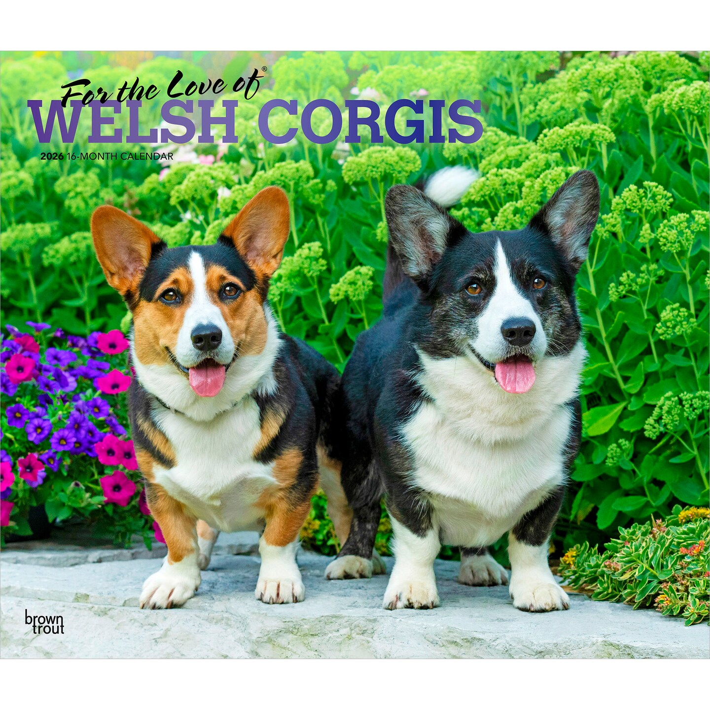 For the Love of Welsh Corgis | 2026 14 x 24 Inch (Hanging) Monthly Deluxe Wall Calendar | Foil Stamped Cover | Plastic-Free