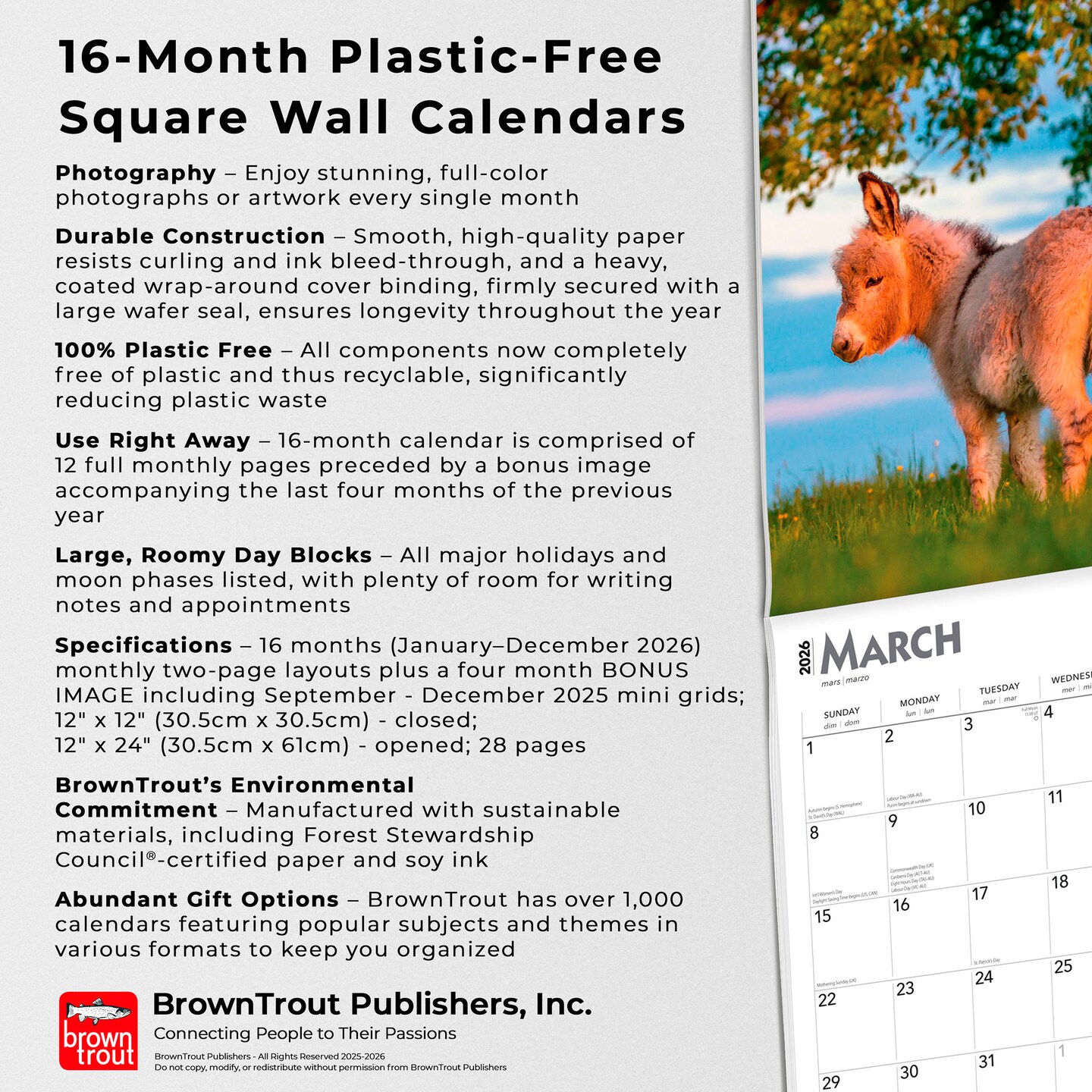 Donkeys | 2026 12 x 24 Inch (Hanging) Monthly Square Wall Calendar | Plastic-Free