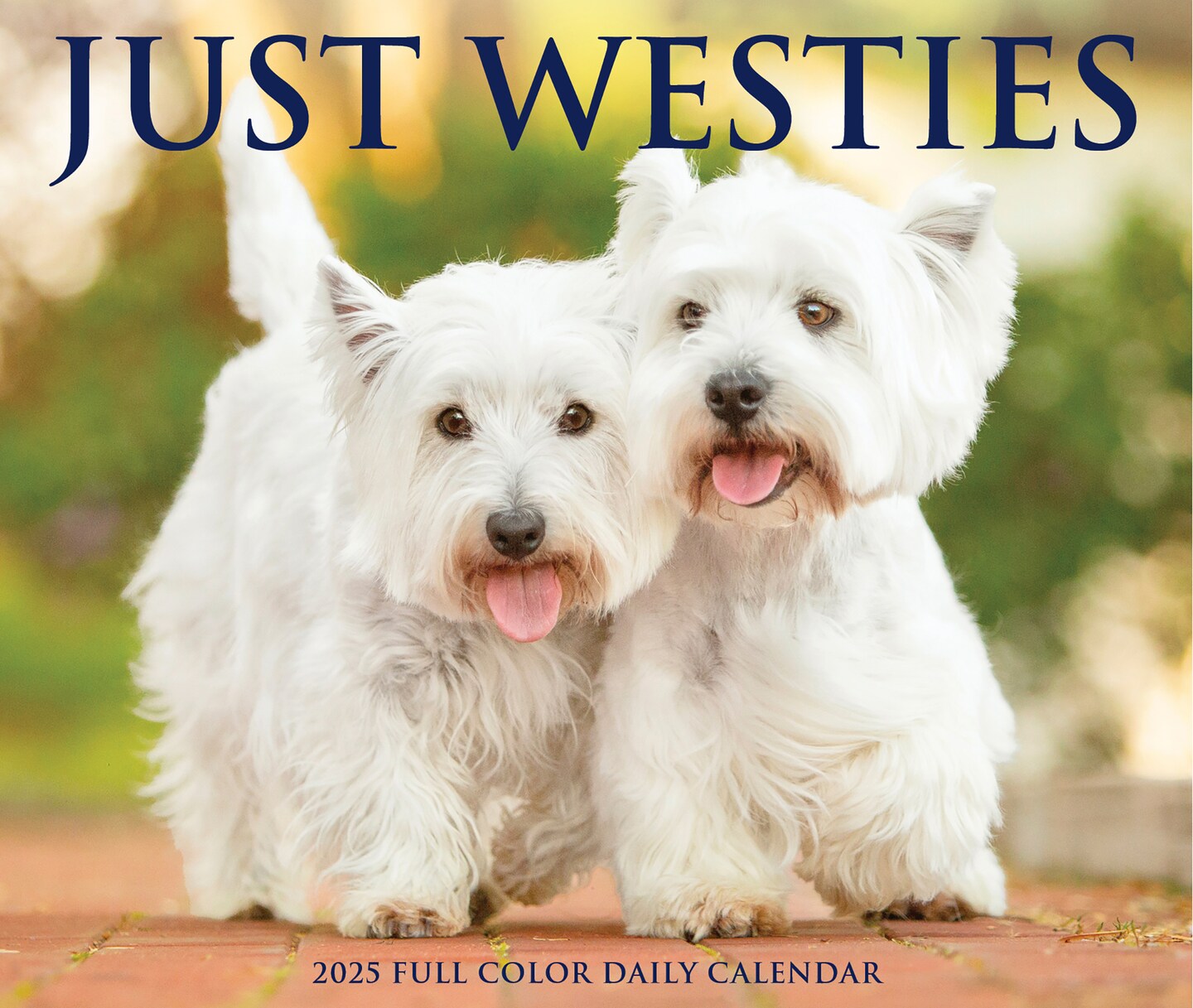 Just Westies 2025 Box Calendar - Dog Breed Daily Desktop