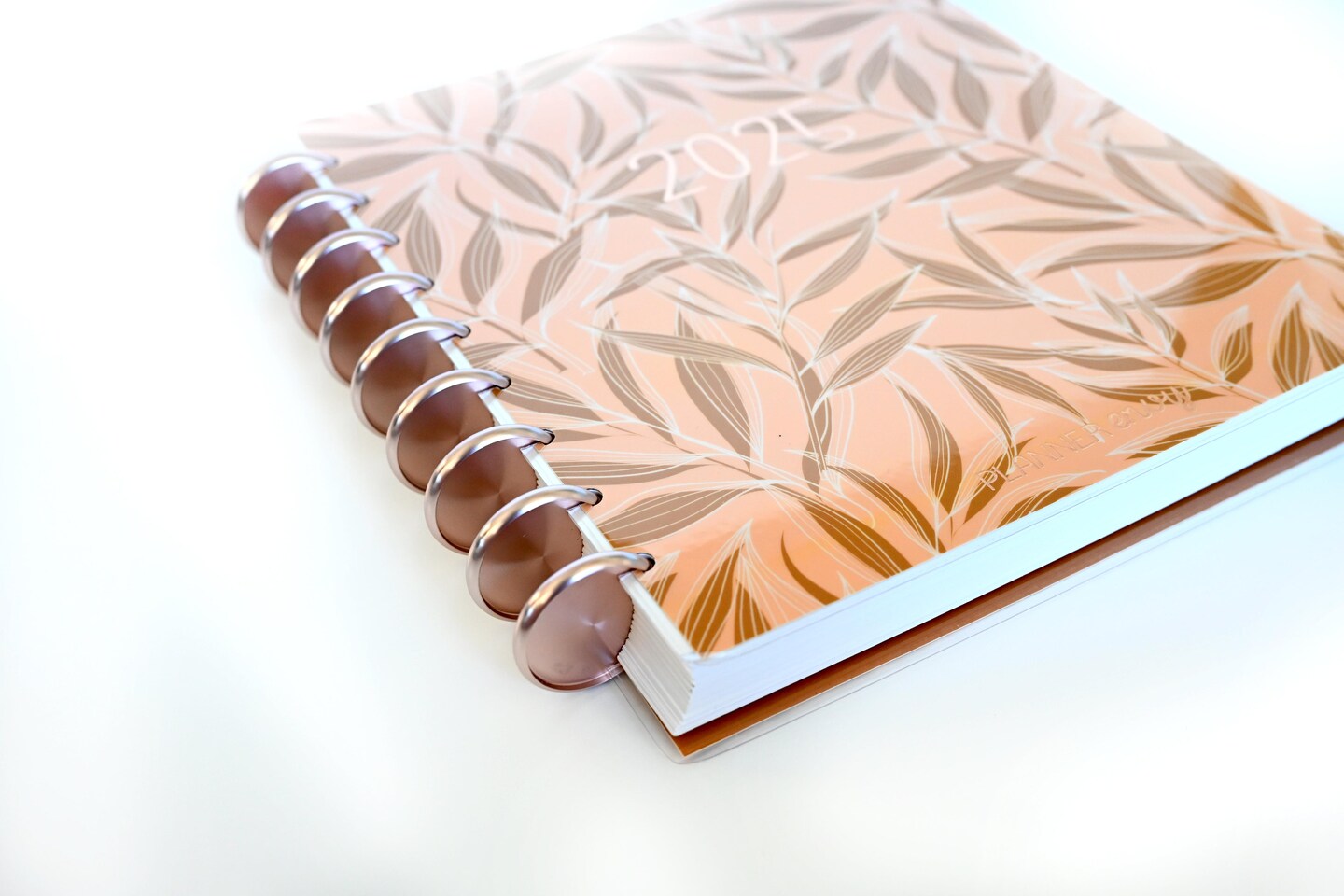 2025 Planner - Horizontal Layout, Disc Bound - &#x22;Golden Leaves&#x22; (#707)