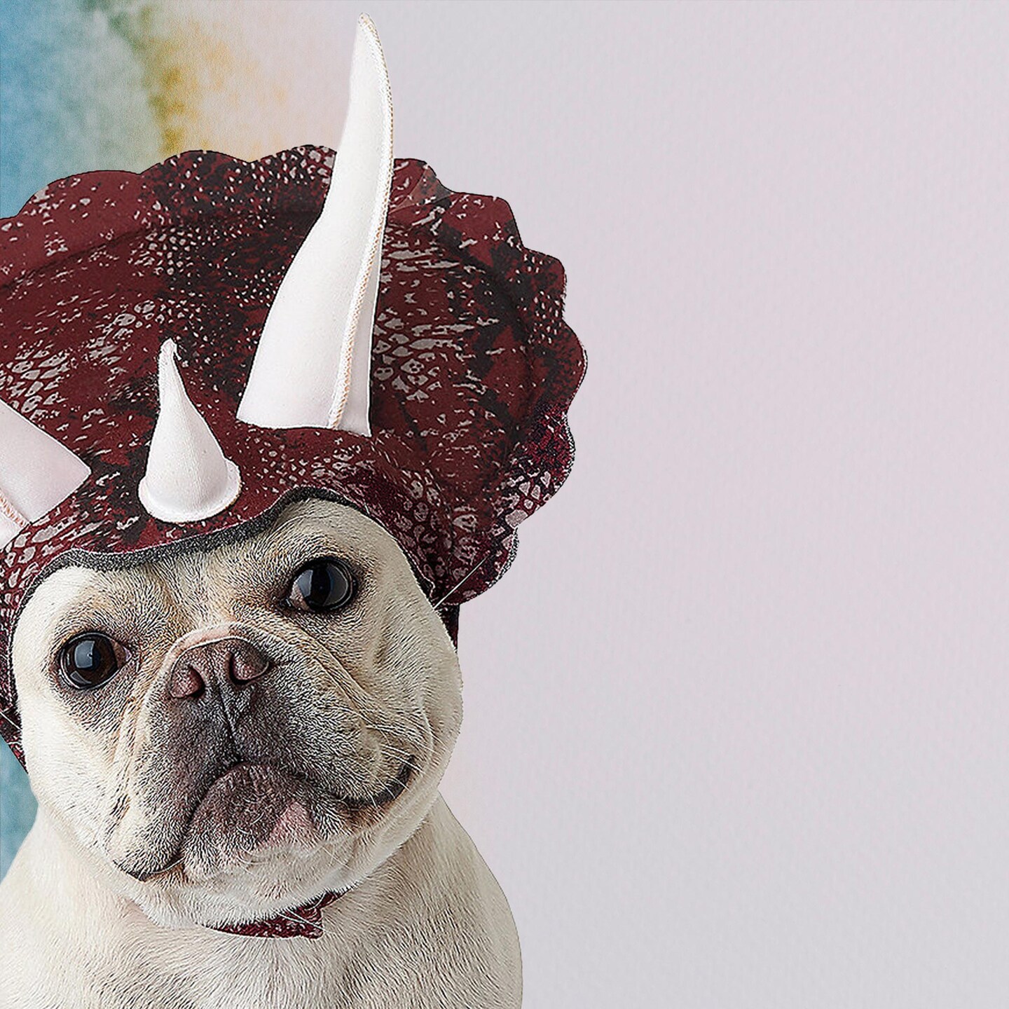 Triceratops Pet Costume with Headpiece and Horns for Dogs