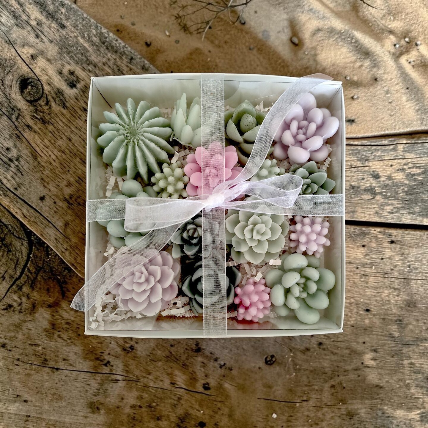Succulent Soap Gift Set  Mini or Standard Botanical Soap Sets  Pastel  Plant Soap  Spa Gift Box  Garden Soap  Plant Lover Gift | MakerPlace by  Michaels