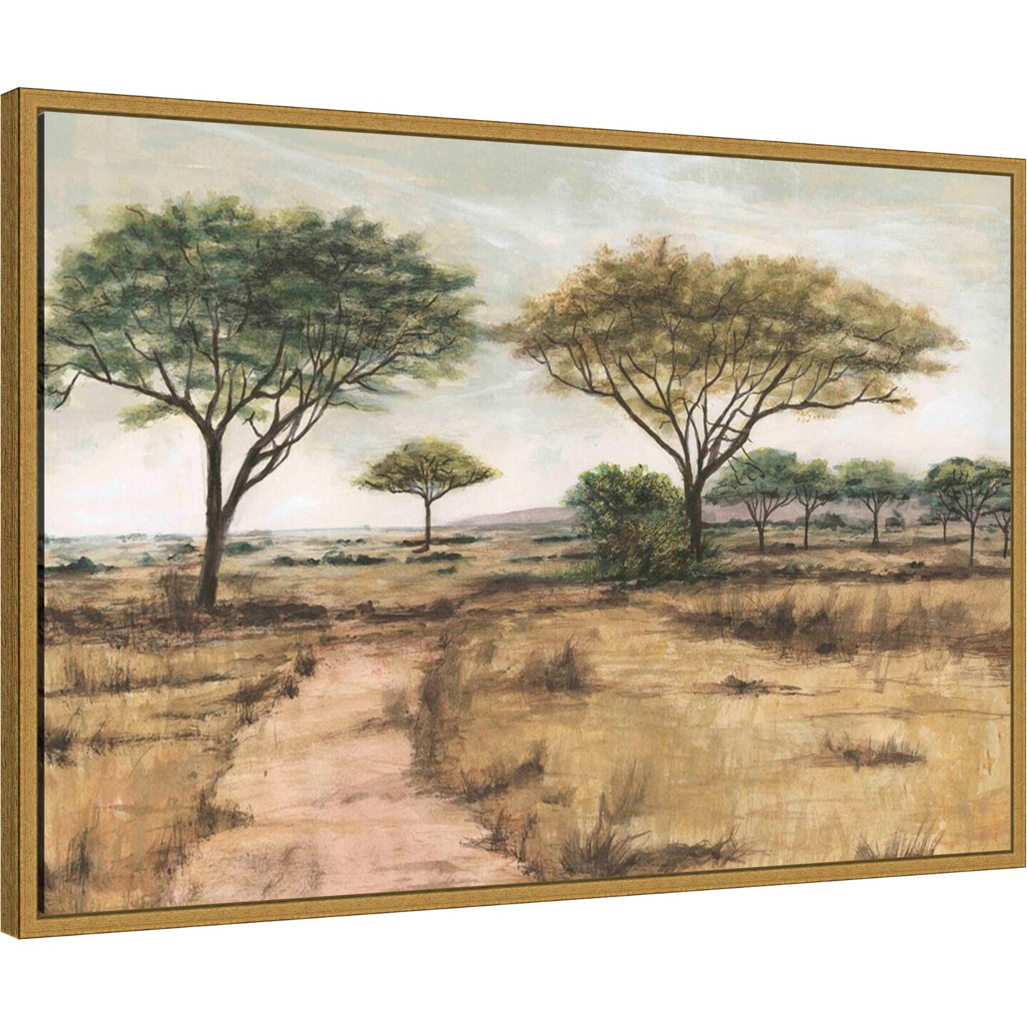 Savanna Plain I by Michael Willett Framed Canvas Wall Art