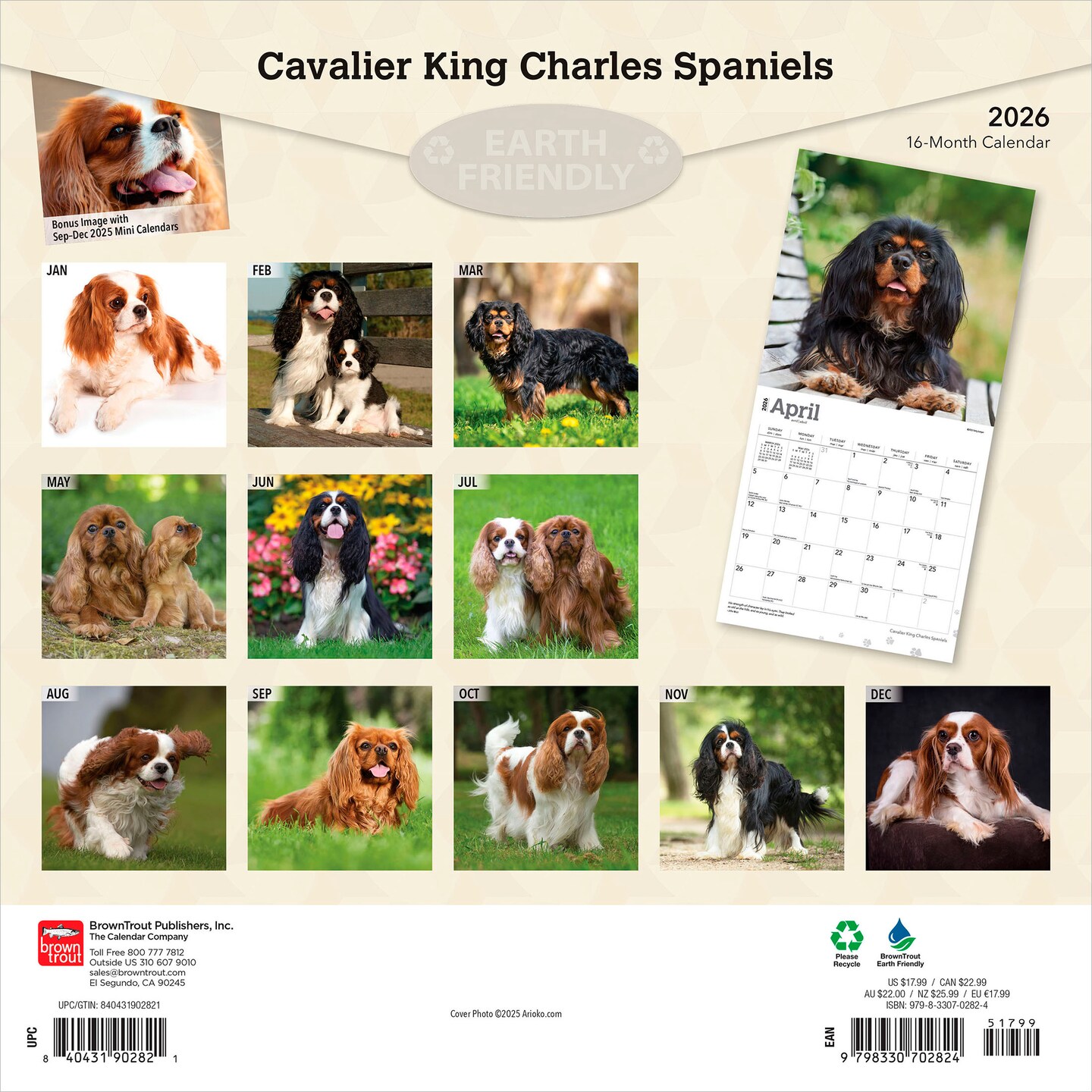 Cavalier King Charles Spaniels | 2026 12 x 24 Inch (Hanging) Monthly Square Wall Calendar | Plastic-Free | BrownTrout | Animals Dog Breeds Puppies