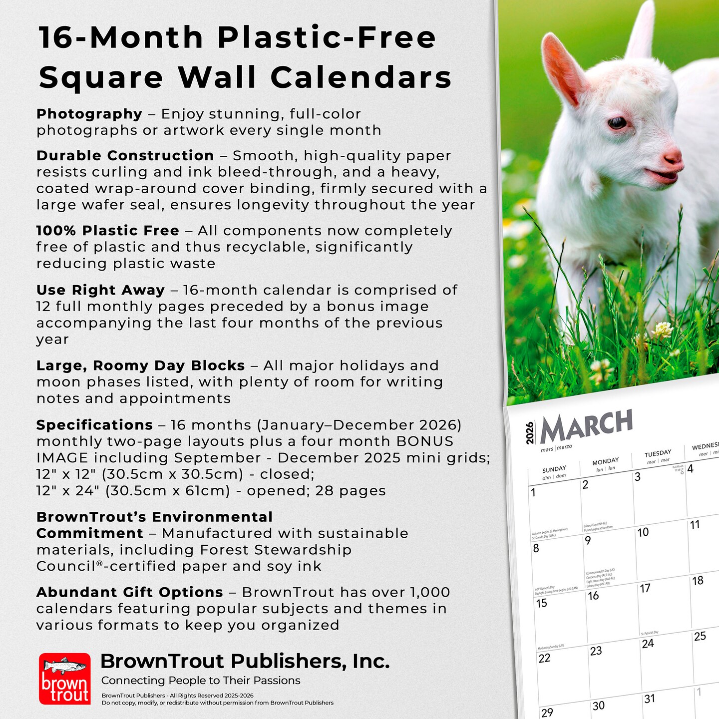 Baby Goats | 2026 12 x 24 Inch (Hanging) Monthly Square Wall Calendar | Plastic-Free | BrownTrout | Domestic Animals