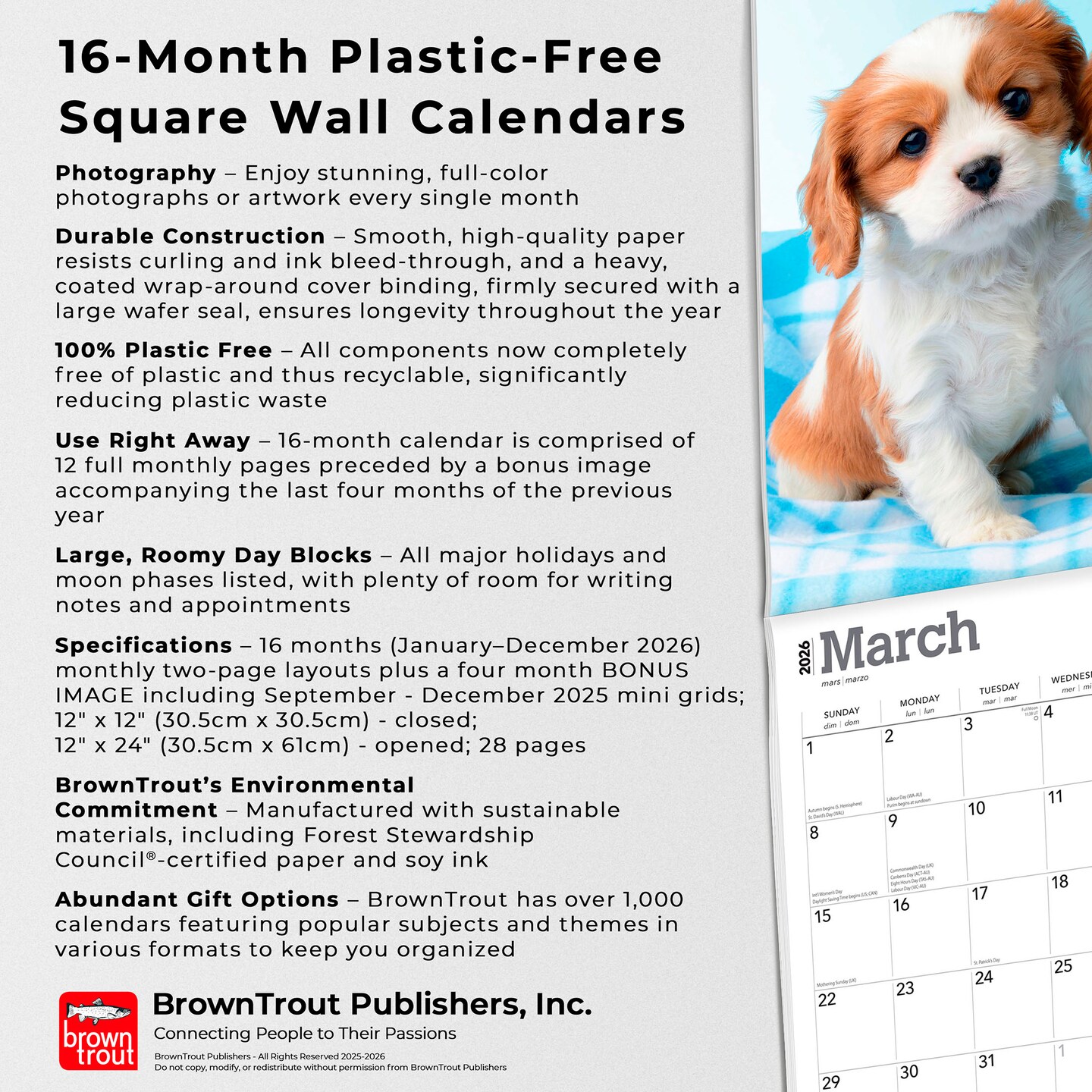 Cavalier King Charles Spaniel Puppies | 2026 12 x 24 Inch (Hanging) Monthly Square Wall Calendar | Plastic-Free