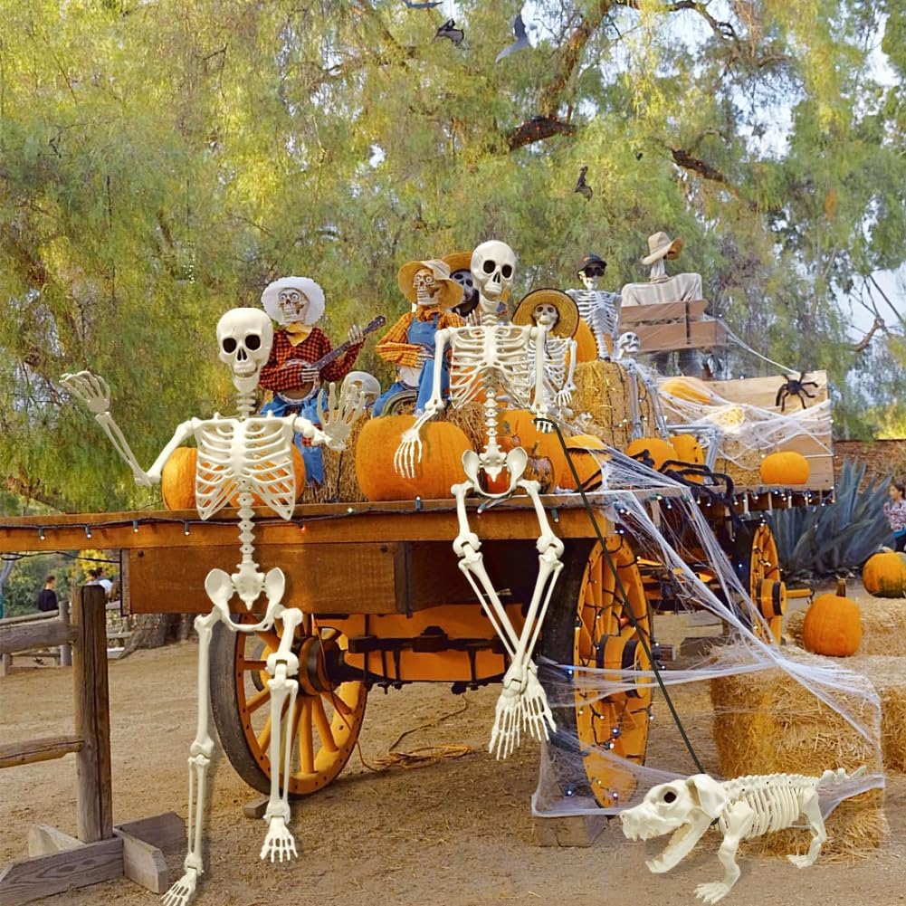 5.4FT Halloween Skeletons, Full Size Skeleton with Skeleton Dog