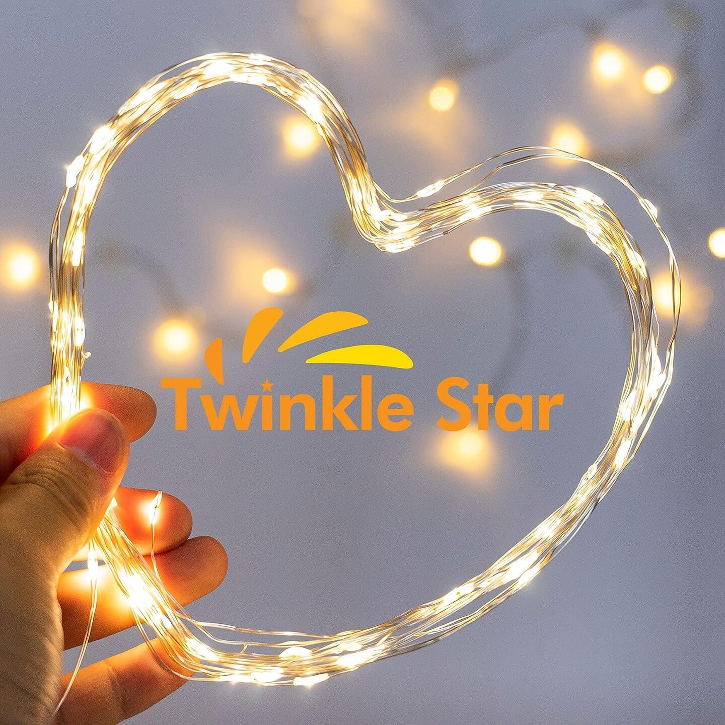 Twinkle Star 33FT 100 LED Silver Wire String Lights Fairy String Lights Battery Operated LED String Lights for Christmas Wedding Party Home Holiday Decoration, Warm White 2 Pack