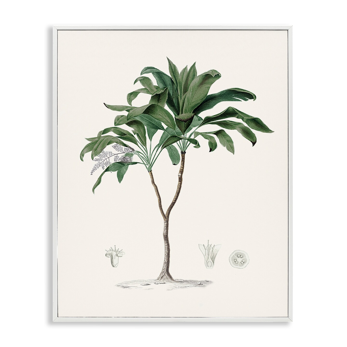 Stupell Industries Coastal Palms Vintage Framed Giclee, design by Val Rhodes