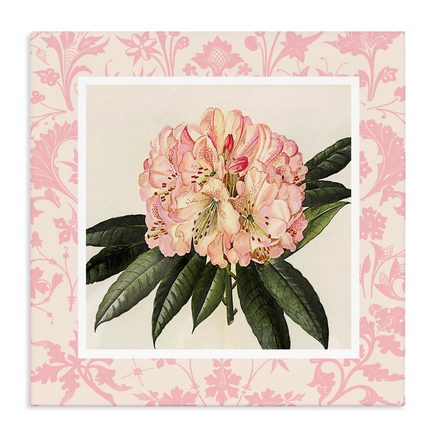 Stupell Industries Pink Pattern Botanical Canvas, design by Livi Finn