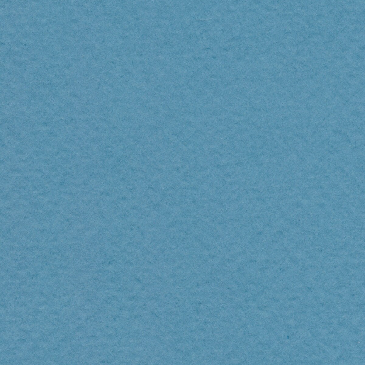 BEE | Pastel Paper Series