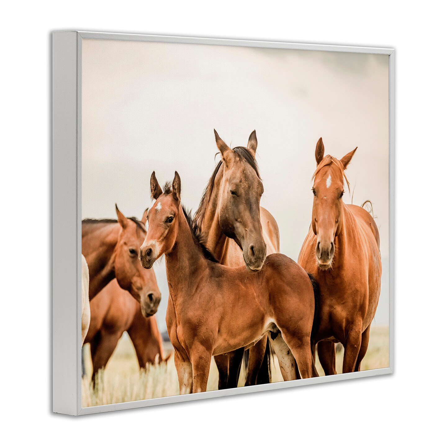 Stupell Industries Horse &#x26; Foals Photography Framed Giclee Art