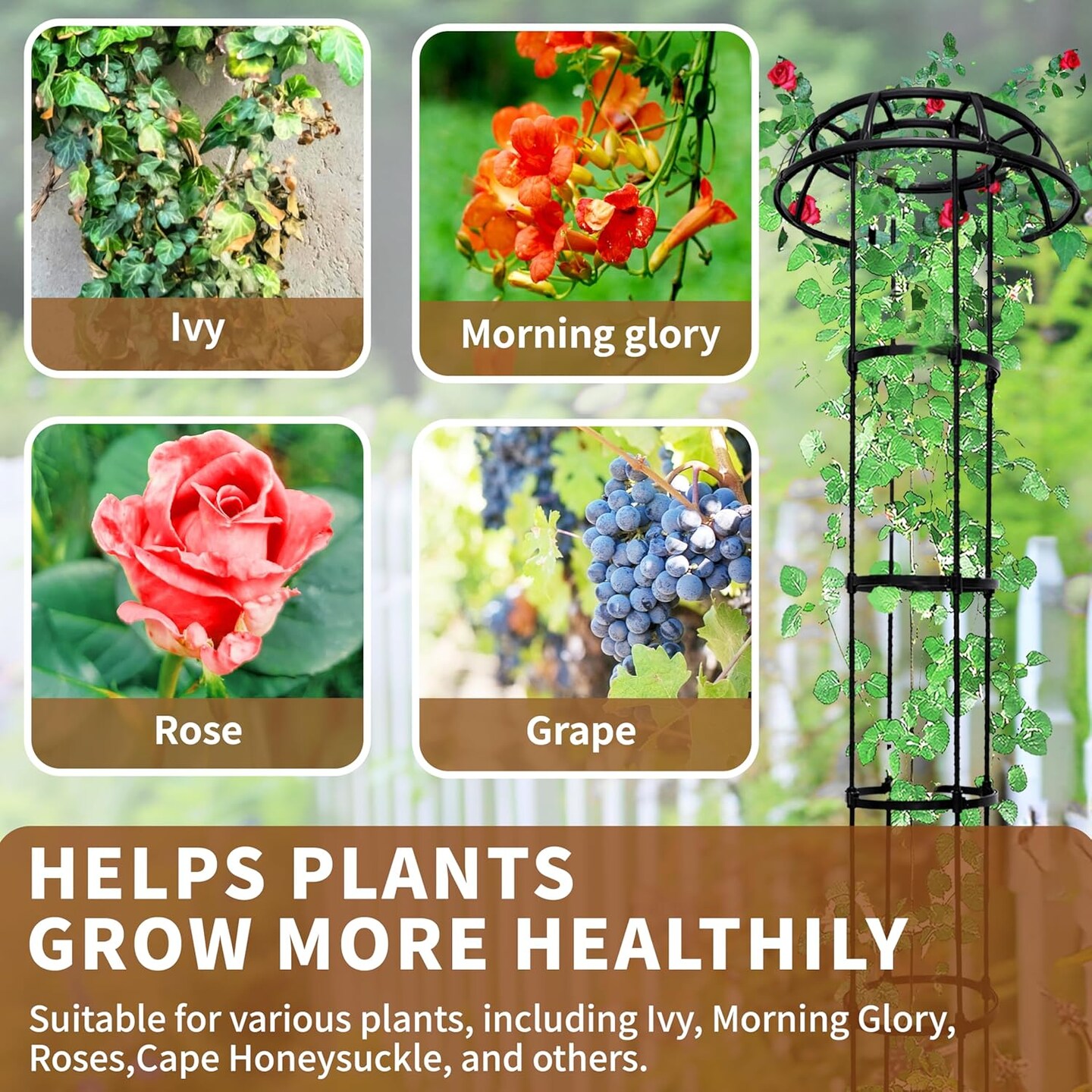 Garden Trellis for Climbing Plants, Mushroom Plant Support for Potted Plants