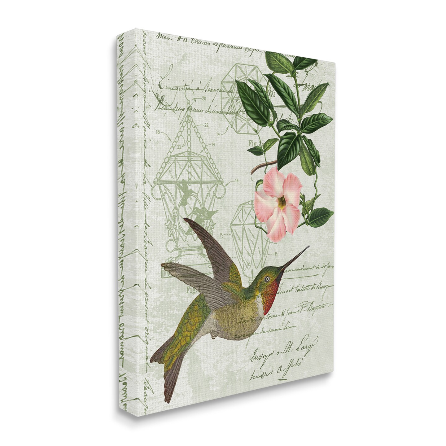Vintage Hummingbird Feeder Patent Pink Floral Antique Script Canvas Art