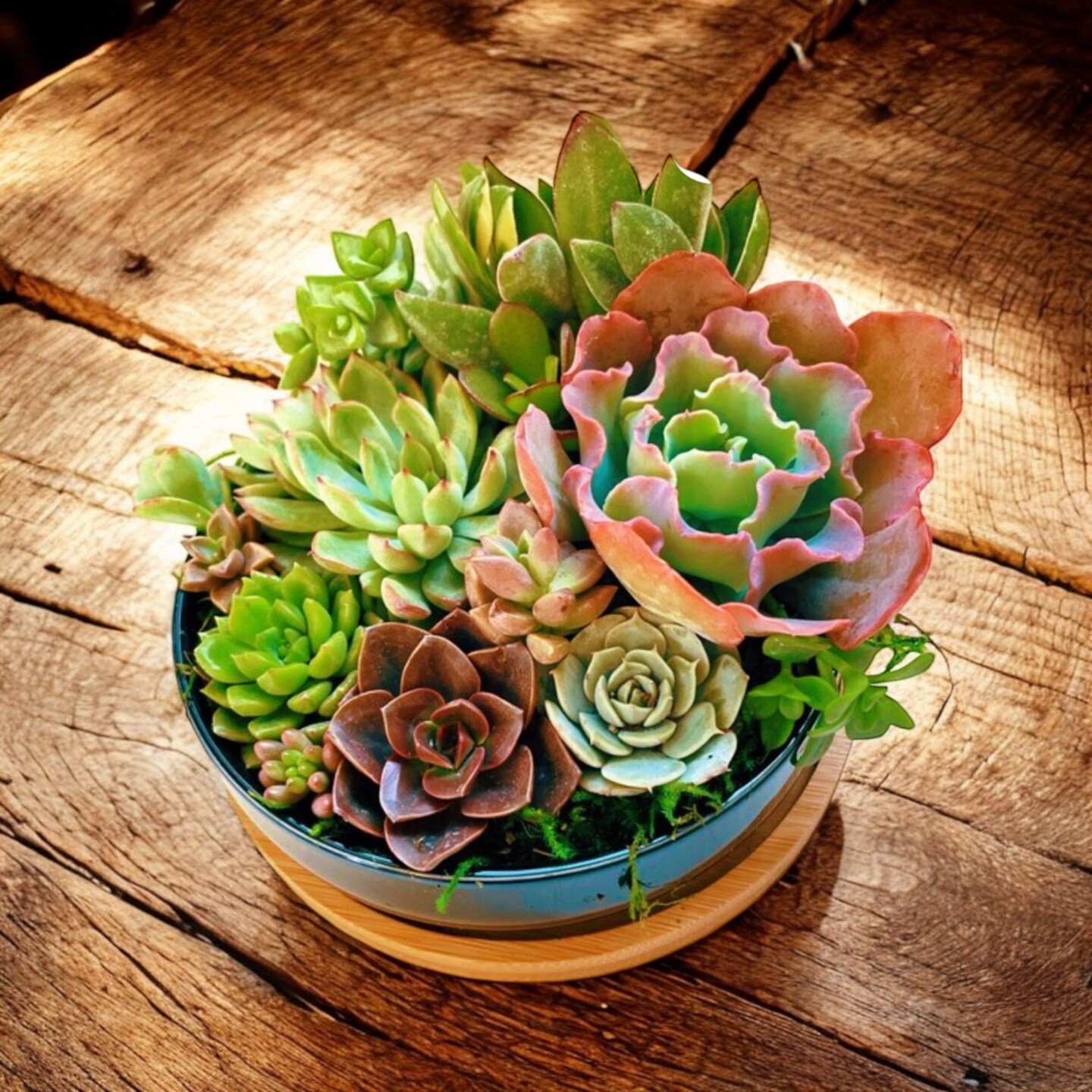 grow light bulbs for indoor plants Grow Bulb