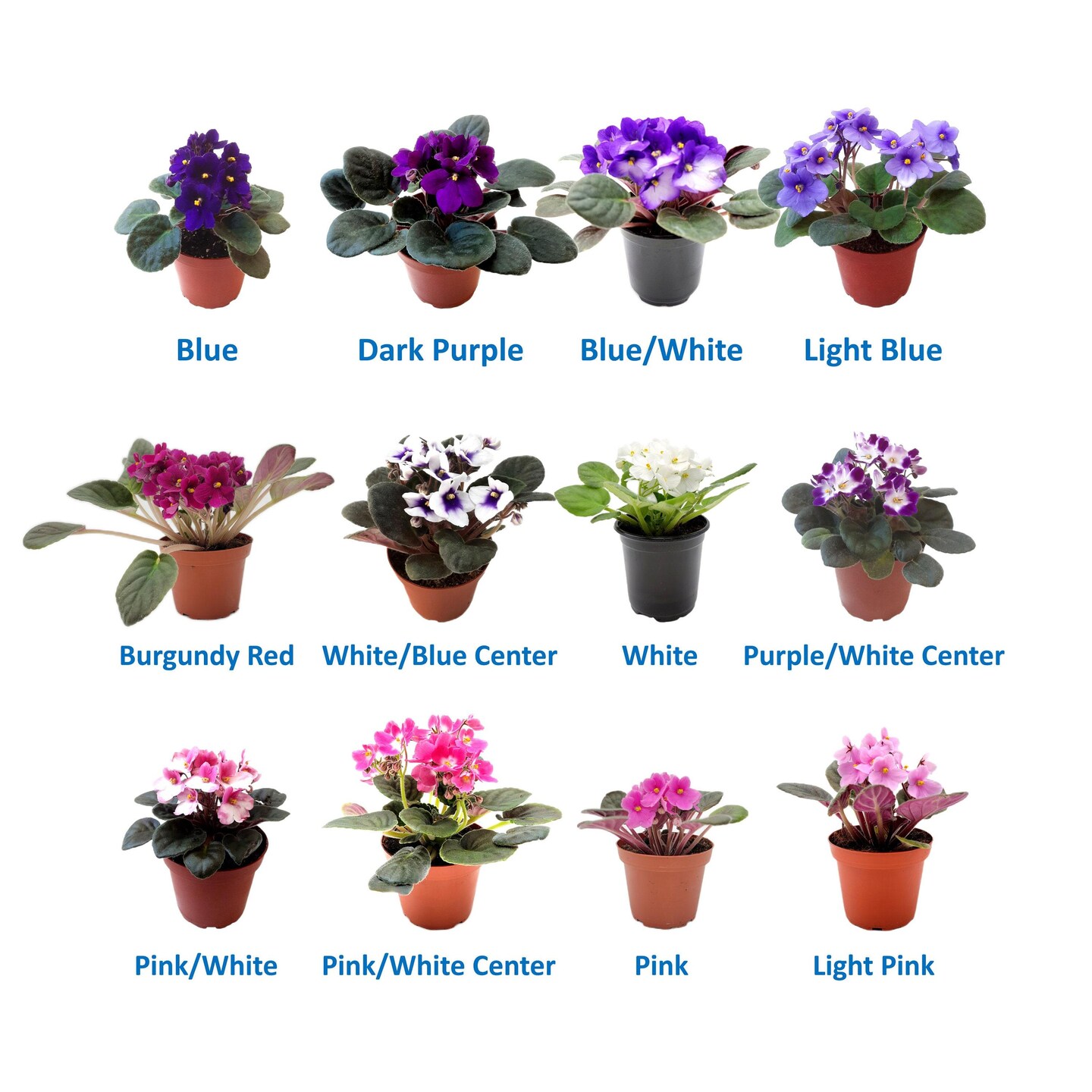 massive plant pots Buy URN Smooth Finish Extra Large Planter Online main image 0