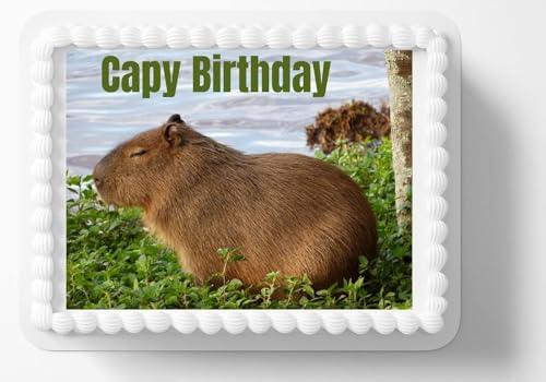 Capybara Meme Edible Icing cake topper Sheets-fits 1/4 sheet cake or larger