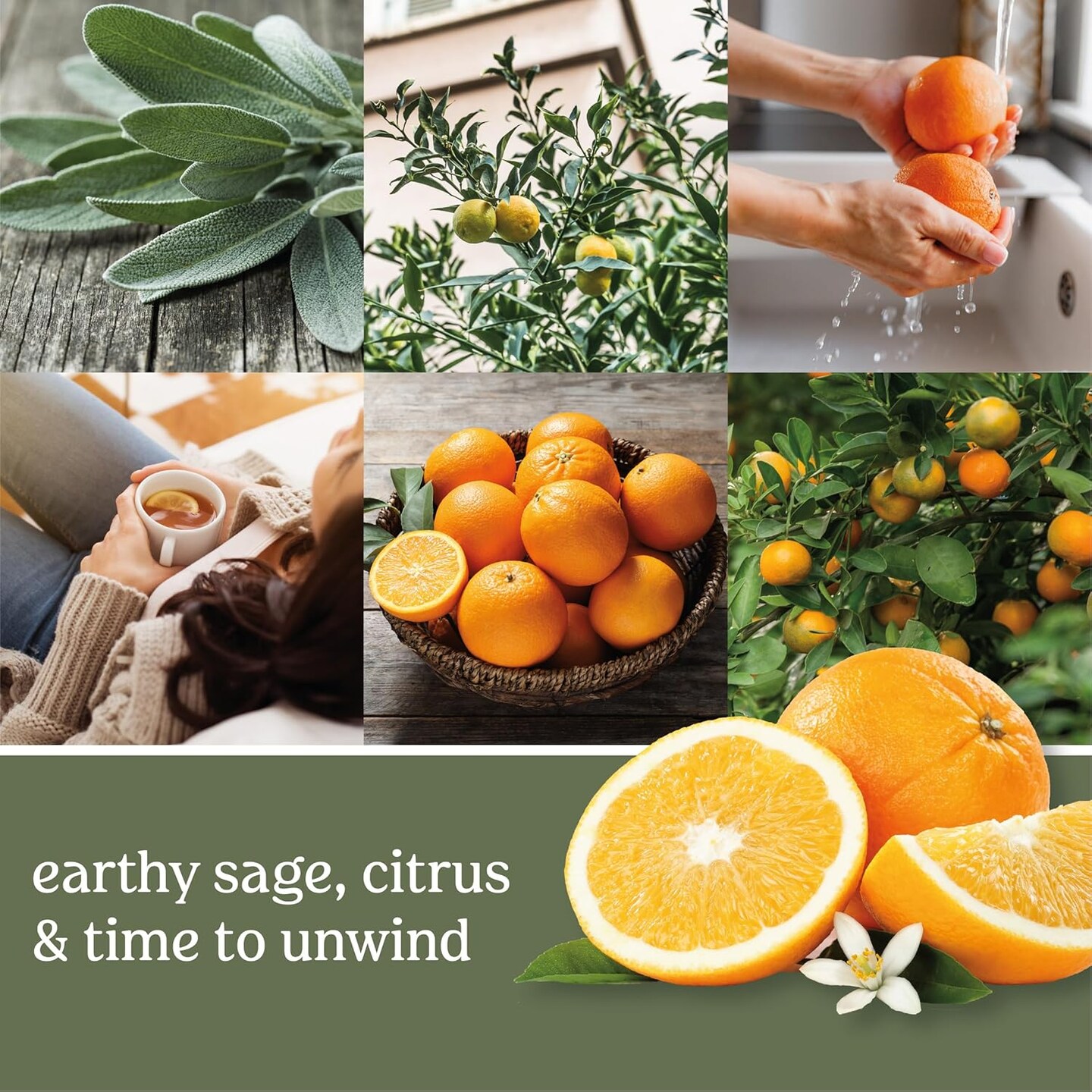 Sage &#x26; Citrus Scented, Classic 22oz Large Jar Single Wick Candle, Over 110 Hours of Burn Time, Ideal for Home Decor and Gifts
