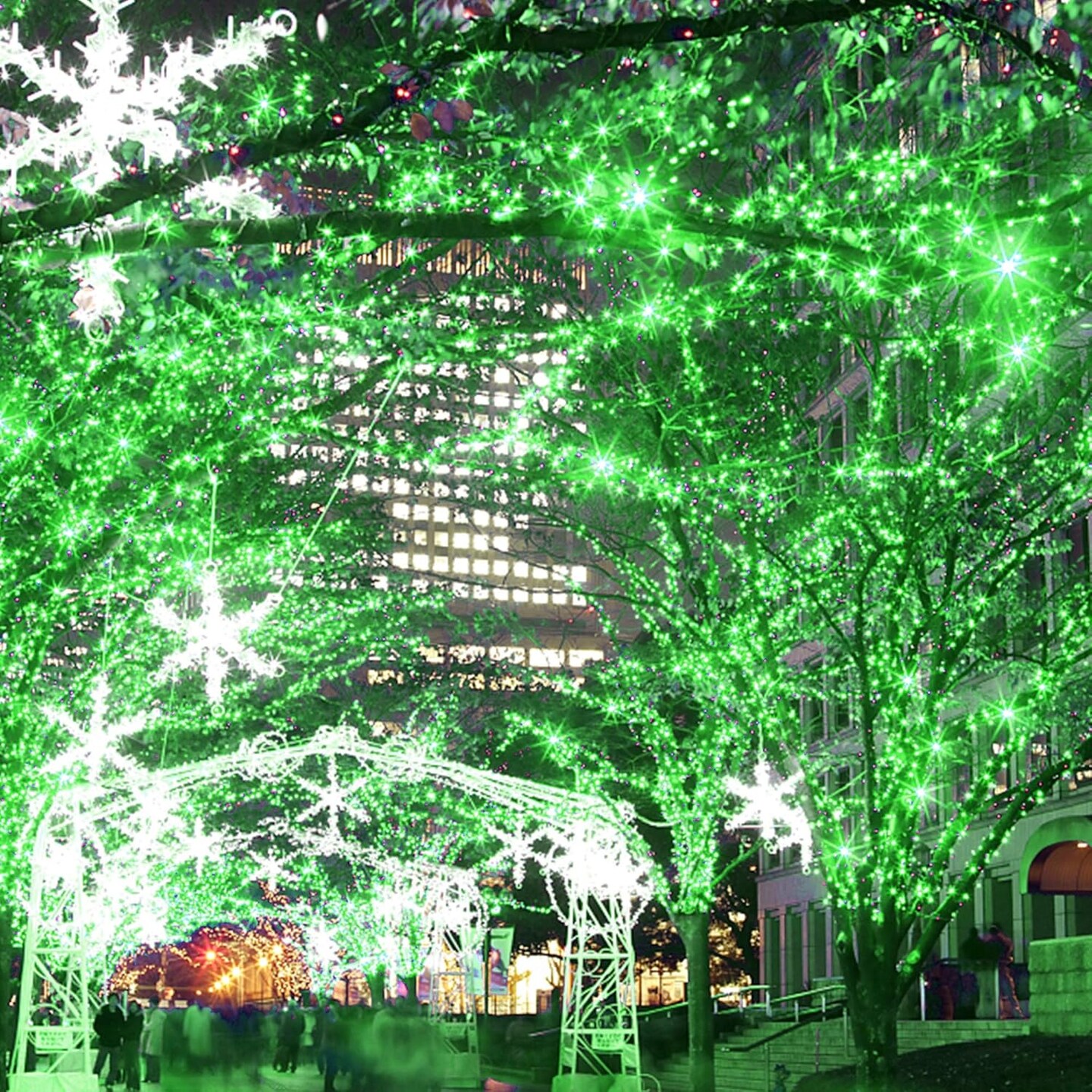 200 LED 66FT Christmas String Lights, St Patricks Day Fairy Lights with 8 Lighting Modes, String Mini Lights Plug in for Indoor Outdoor Tree Garden Wedding Party Decoration, Green
