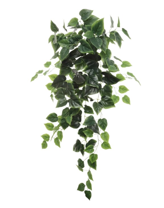36" Hanging Philodendron Bush – 136 Silk Leaves, Realistic Decor