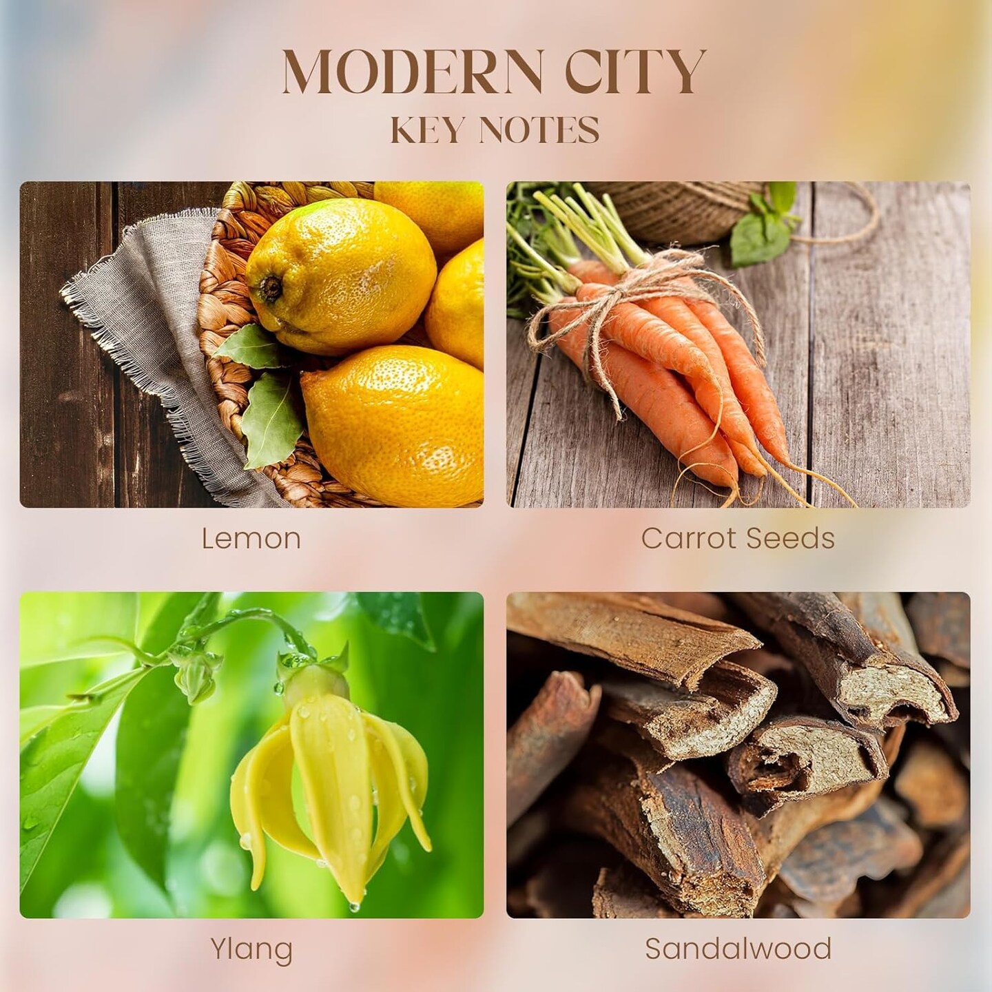 New York City Scent Soy Wax Aesthetic Candle - 10.2 oz | Natural Fragrance for Home&#x26; Book Candles | for Housewarming, Hostess Gifts&#x26;Home Deor,Thank You Gifts