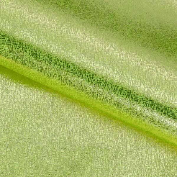 Mystique Foiled Spandex Fabric