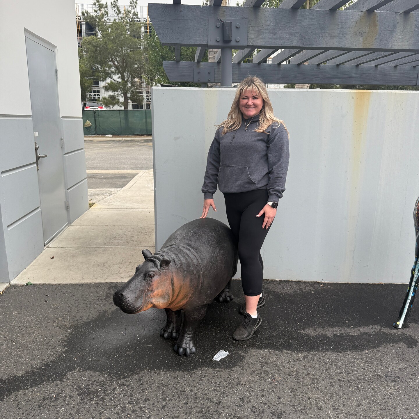 Baby Hippo Life Size Statue