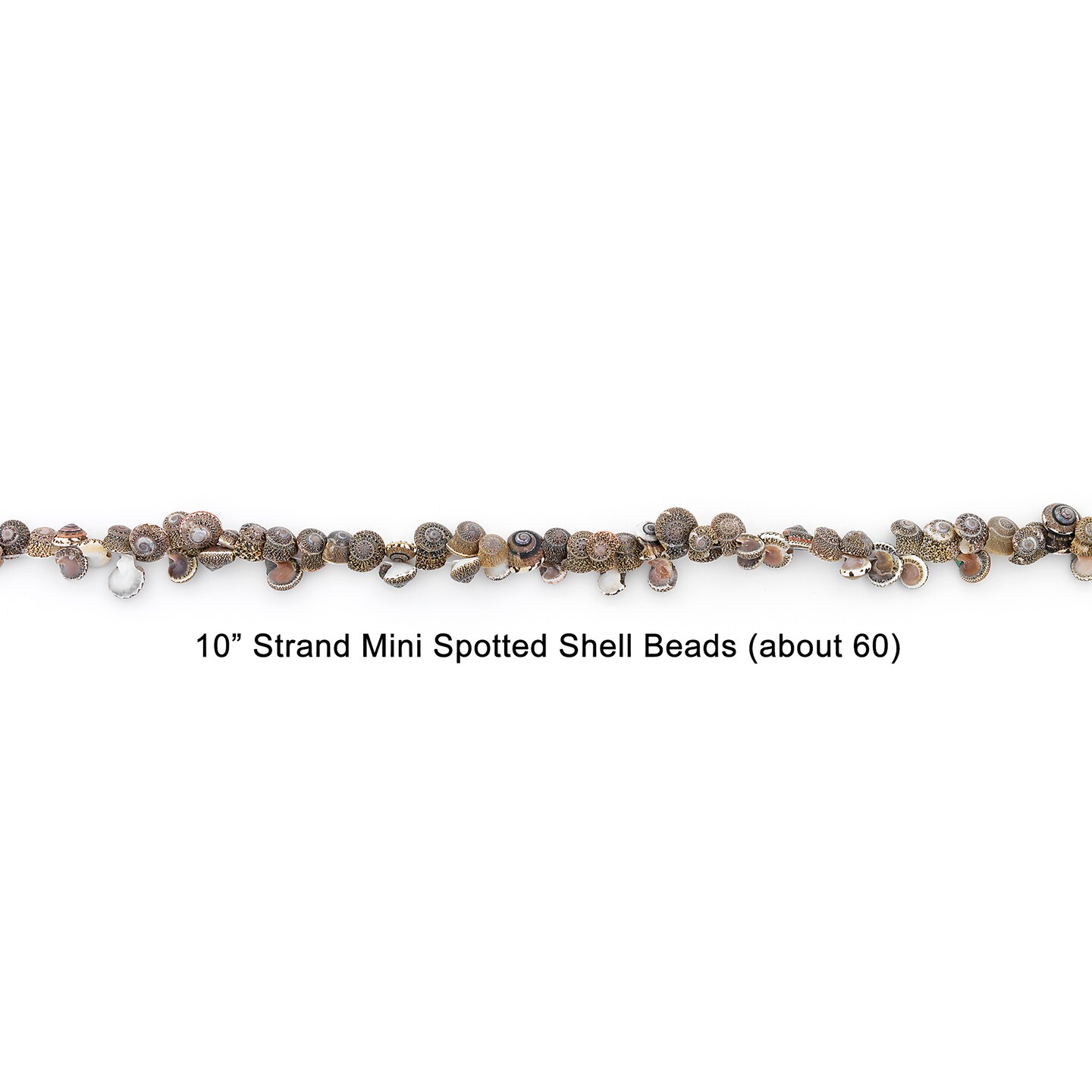 Spotted Mud Shell Beads - 26 pcs.
