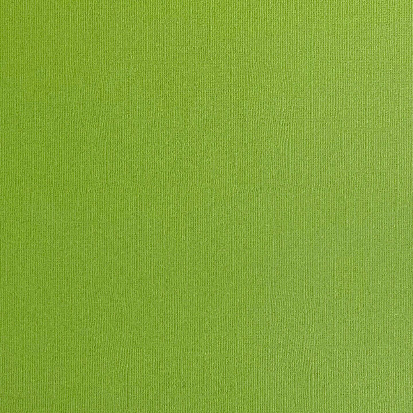 GRASSHOPPER - Textured 12x12 Cardstock - Encore Paper