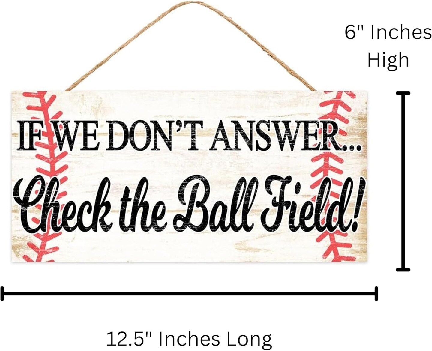Funny Baseball Sign for Wreath Attachments and Crafts - 12.5" x 6"