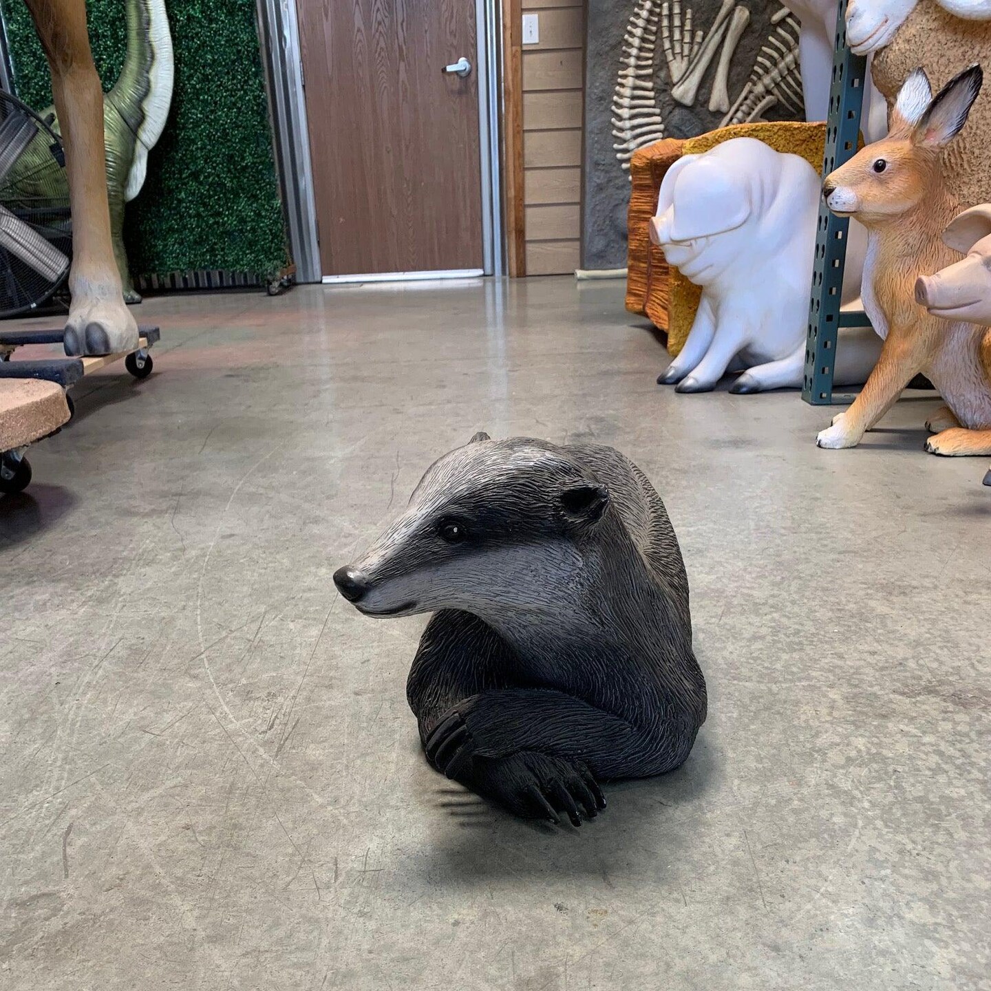Laying Badger Life Size Statue