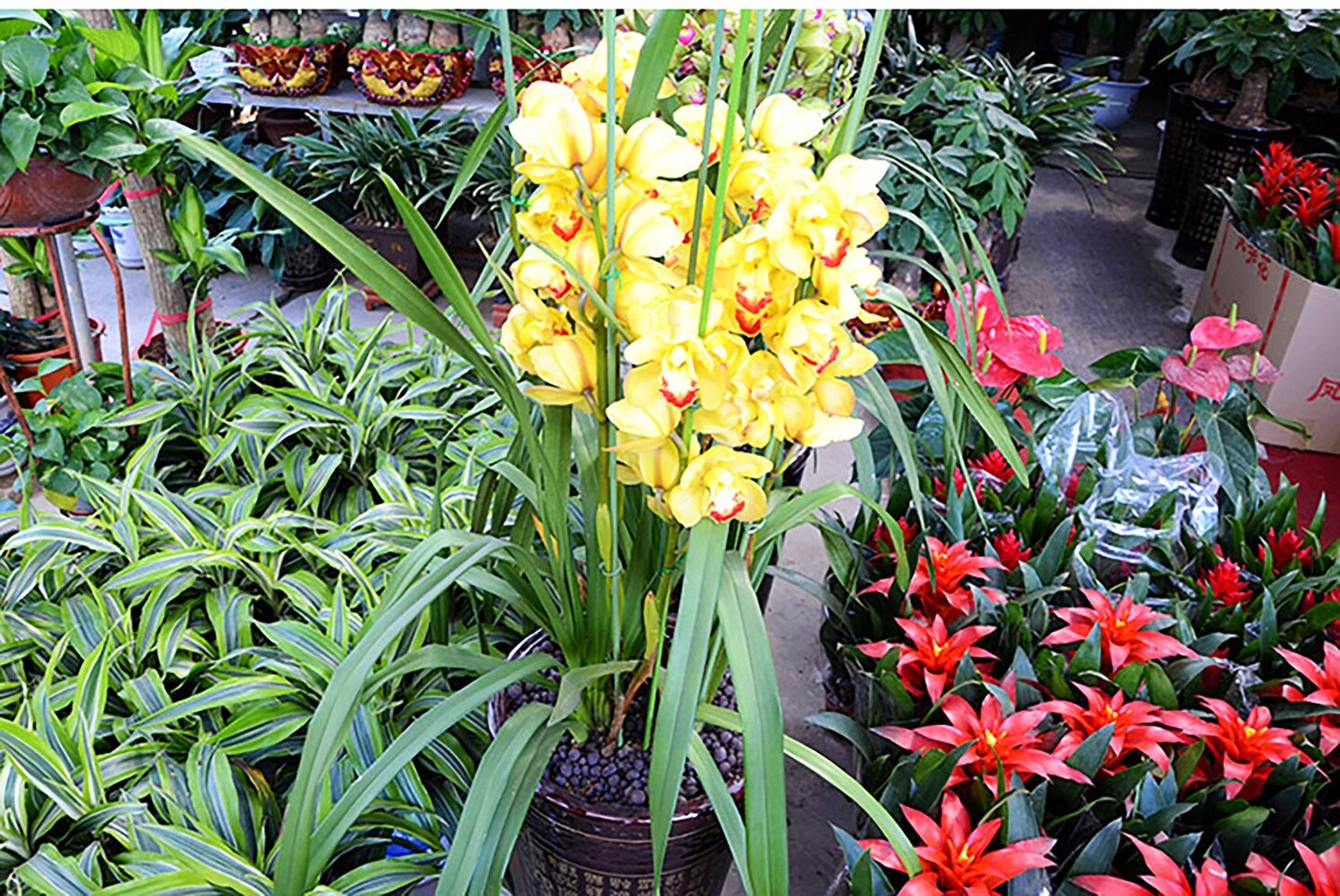 18 Gauge Green Floral Stem Wire for Artificial Flower Making 16 inch,50/Package