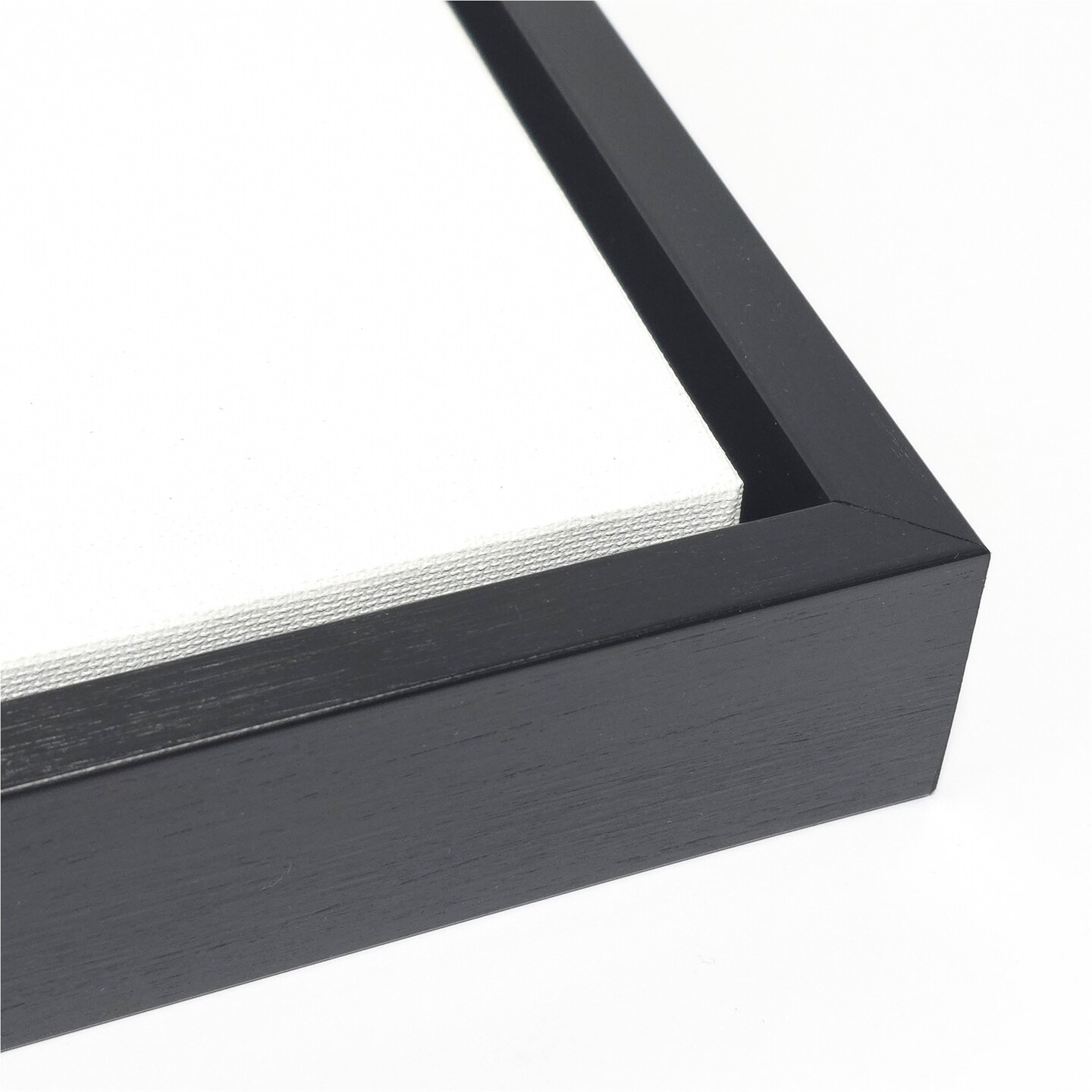 Monstera Black and White 03 by Amini54 Framed Canvas Wall Art