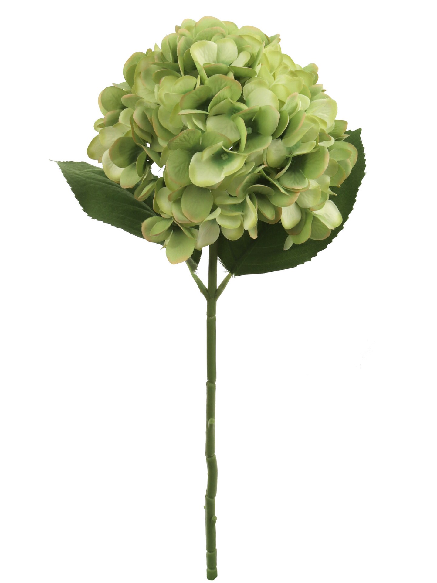 4PC Vibrant 18-Inch Green Hydrangea Stem - Large 7-Inch Diameter - Ideal for Stylish Home Décor, Wedding Centerpieces, and Special Event Floral Designs