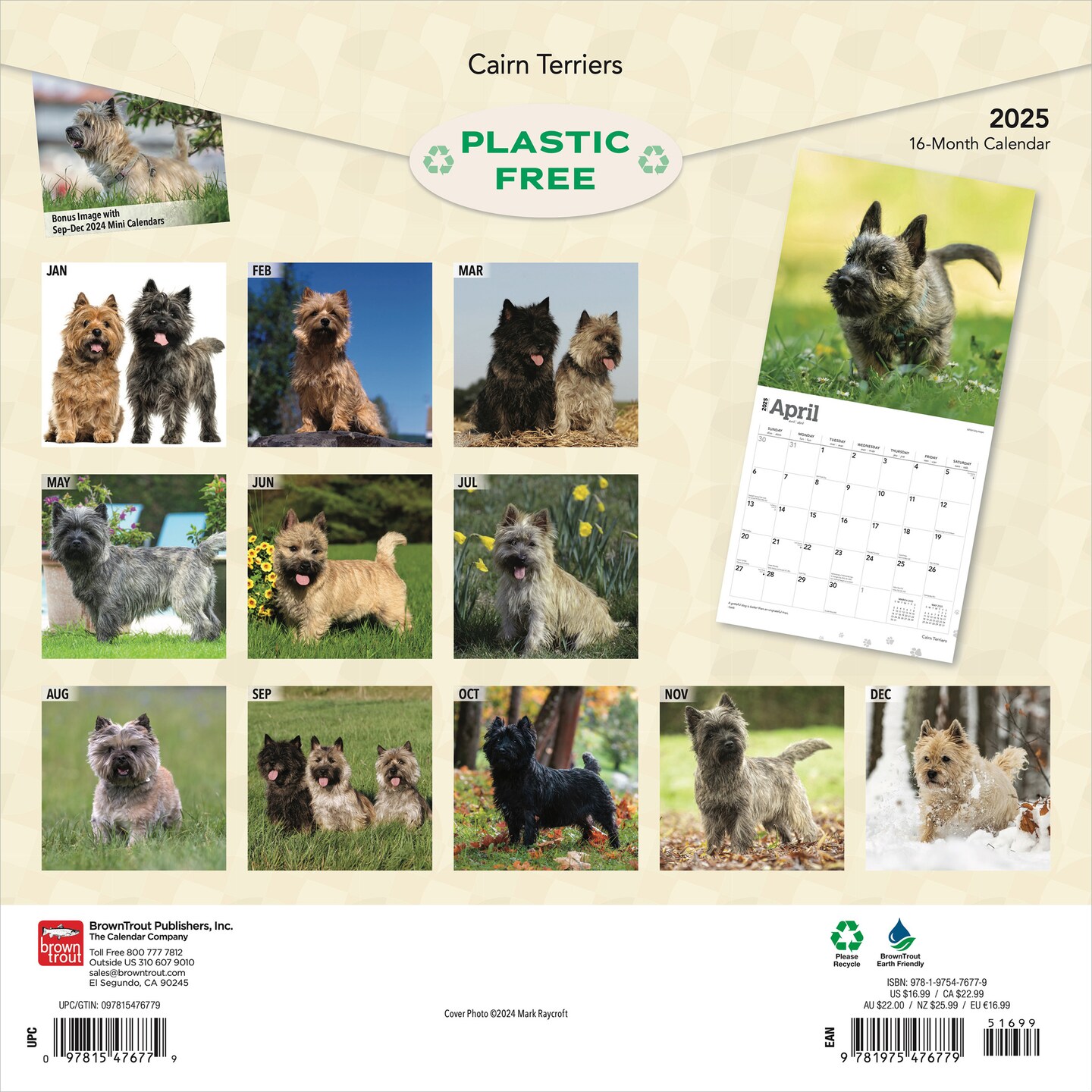 Cairn Terriers | 2025 12 x 24 Inch Monthly Square Wall Calendar | Plastic-Free | BrownTrout | Animals Dog Breeds
