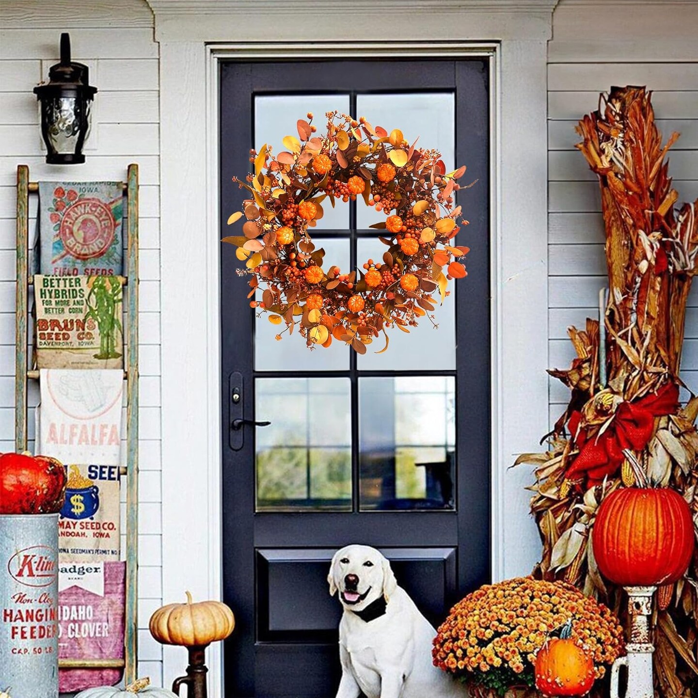 22 Inch Fall Wreath Artificial Pumpkin Wreaths for Front Door Autumn Door Wreath with Orange Eucalyptus Leaves Berries for Turkey Day Harvest Festival Indoor Outdoor Celebration
