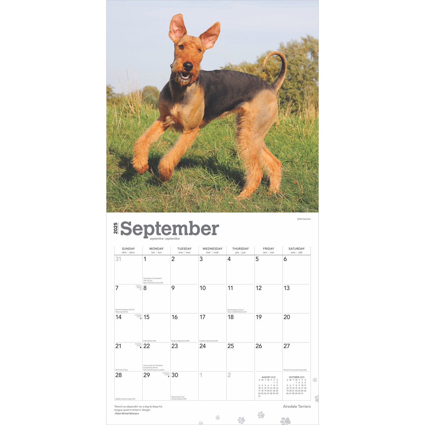 Airedale Terriers | 2025 12 x 24 Inch Monthly Square Wall Calendar | Plastic-Free | BrownTrout | Animal Dog Breeds