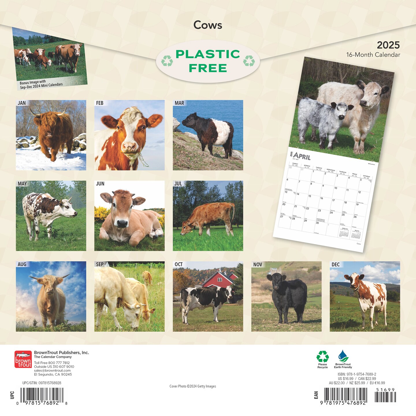 Cows | 2025 12 x 24 Inch Monthly Square Wall Calendar | Plastic-Free | BrownTrout | Domestic Farm Animals