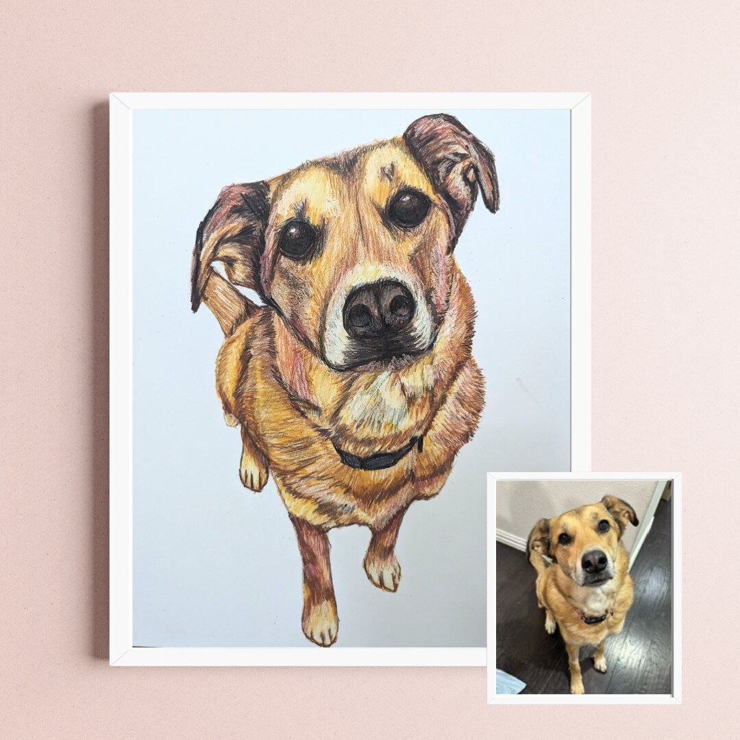 Hand-Drawn Custom Pet Portrait | No AI Used